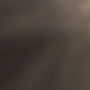 Meet your Posher, Bailey